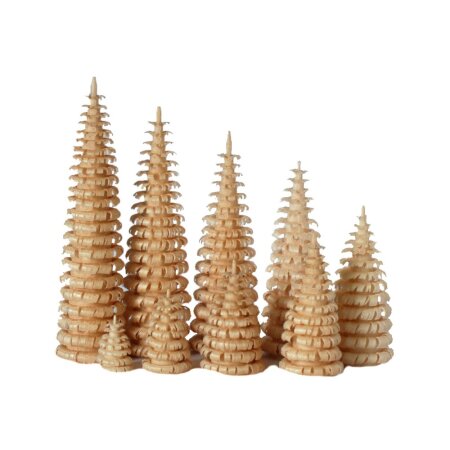 Ringelbaum natur in Größen 2-10cm Kräuselbaum Erzgebirge