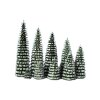 Ringelbaum grün/ weiß  Größen 2-10cm Kräuselbaum Erzgebirge